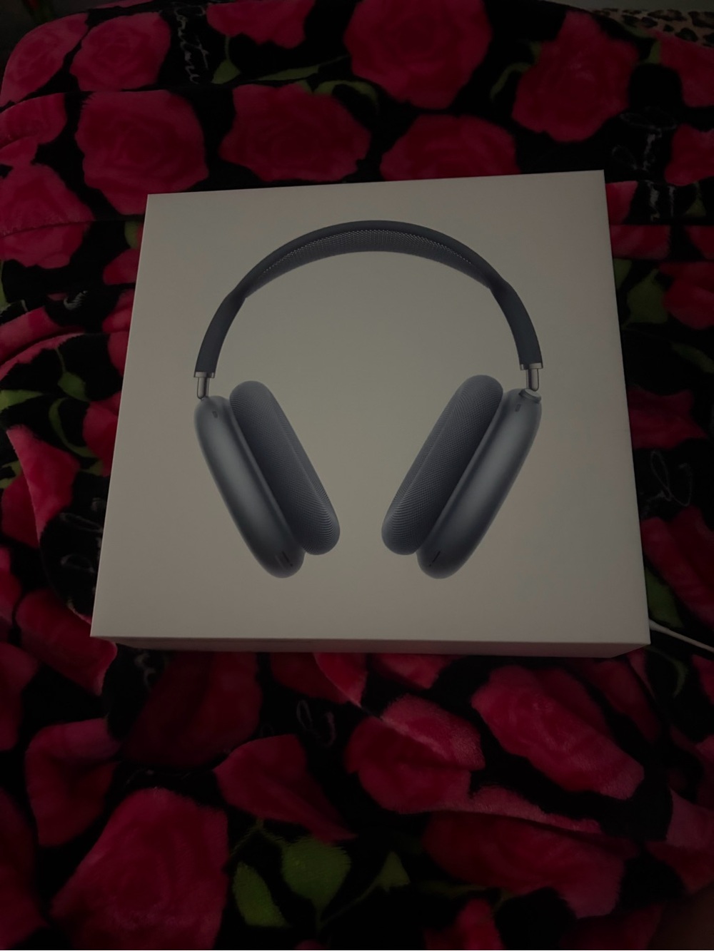 ✨NWT Apple AirPods Max Over-Ear Headphones -
Sky Blue (Brand New / Sealed) ✨